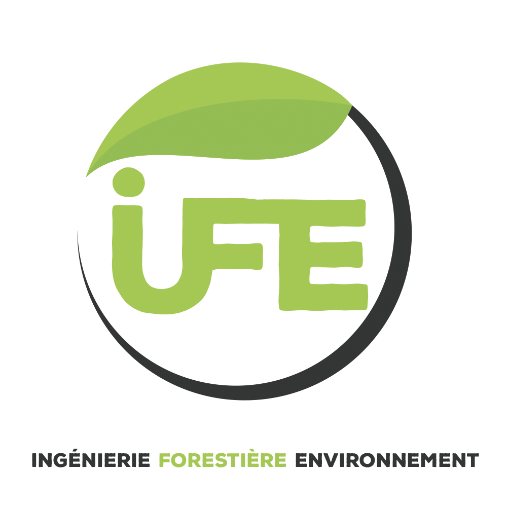 Logo de IFE